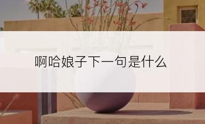 啊哈娘子下一句是什么