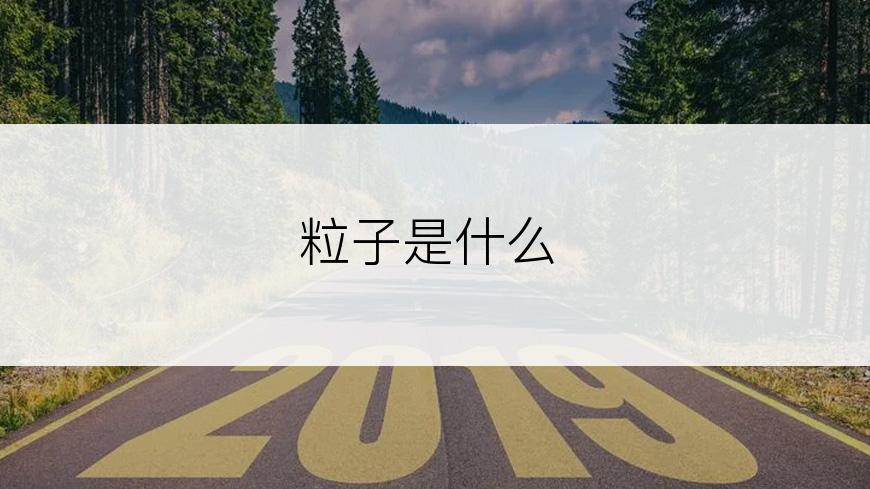 粒子是什么