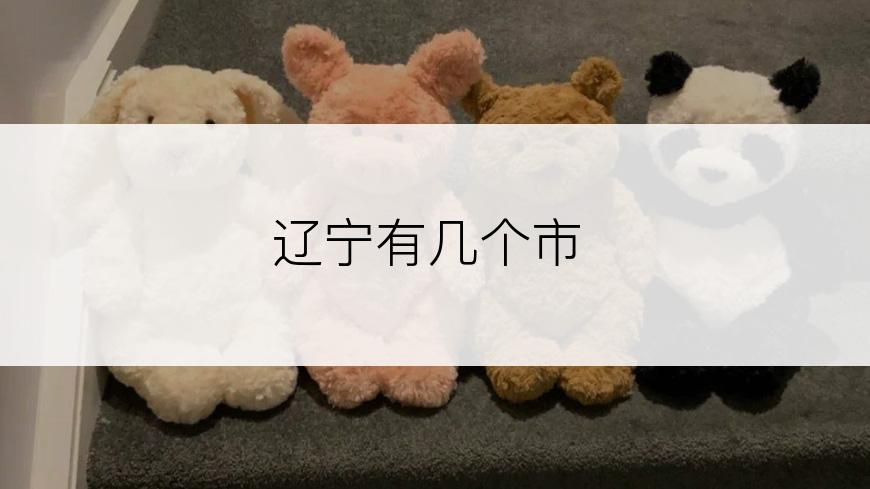 辽宁有几个市