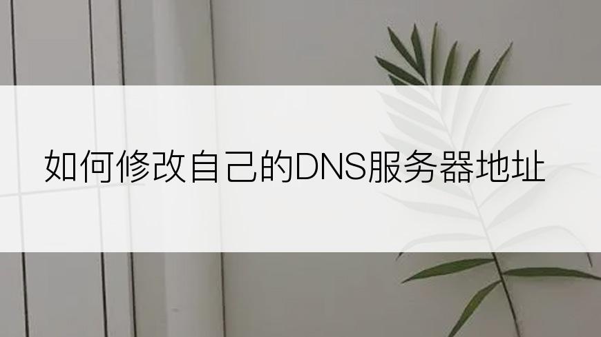 如何修改自己的DNS服务器地址
