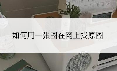 如何用一张图在网上找原图