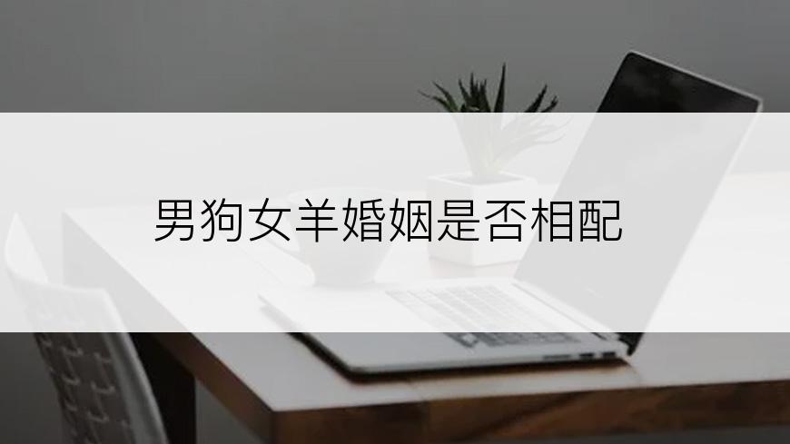 男狗女羊婚姻是否相配