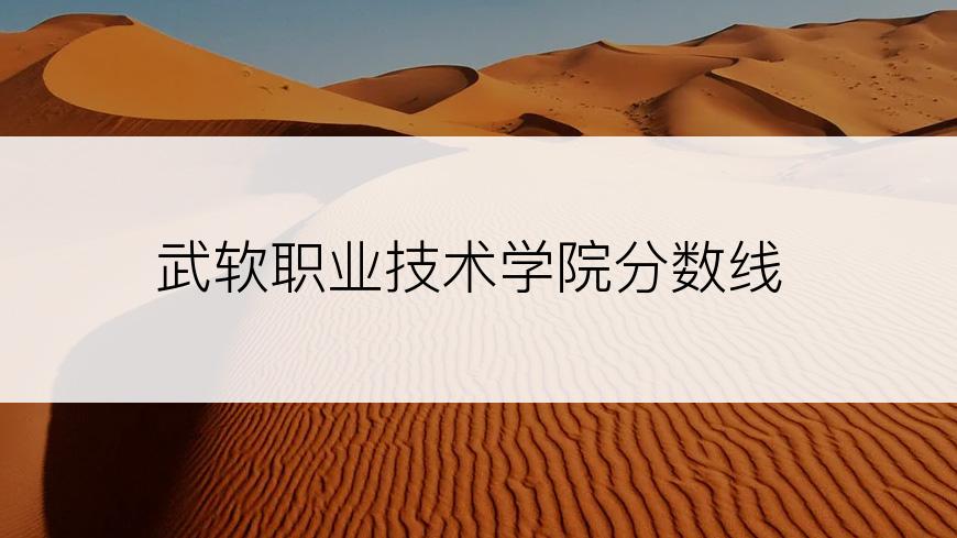 武软职业技术学院分数线