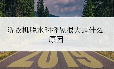 洗衣机脱水时摇晃很大是什么原因