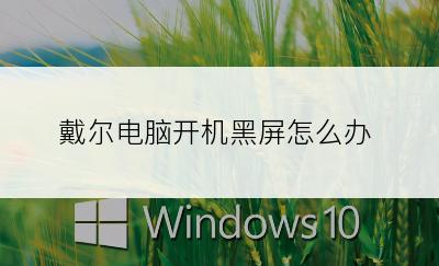 戴尔电脑开机黑屏怎么办