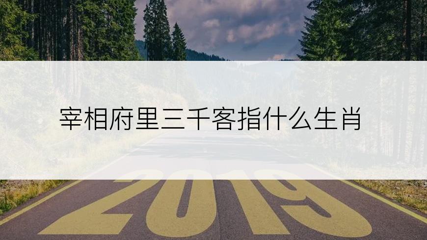 宰相府里三千客指什么生肖