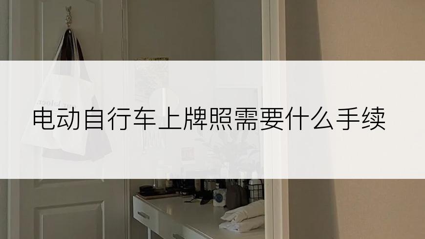 电动自行车上牌照需要什么手续