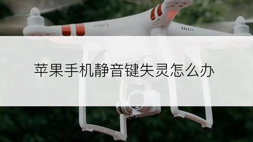苹果手机静音键失灵怎么办