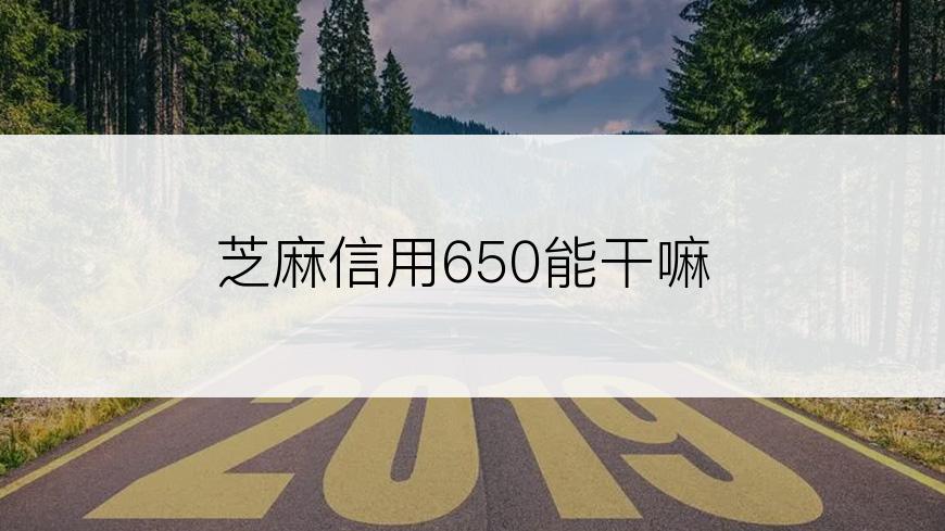 芝麻信用650能干嘛