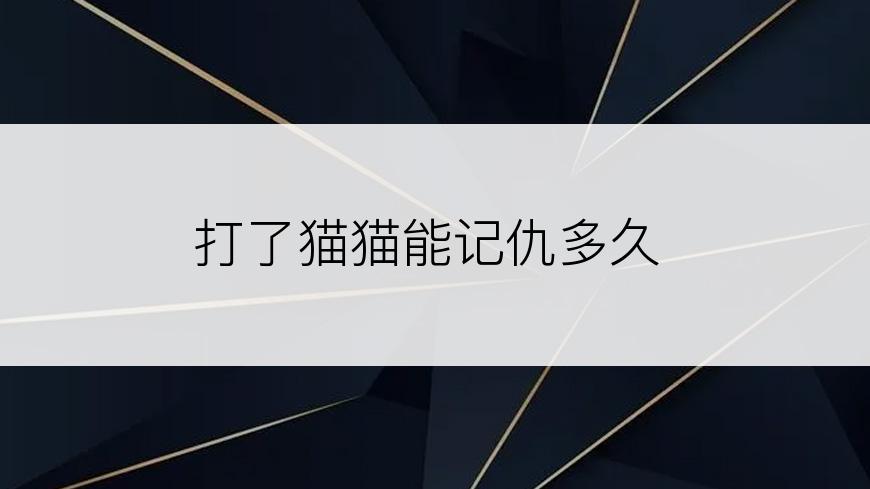打了猫猫能记仇多久