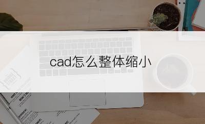 cad怎么整体缩小