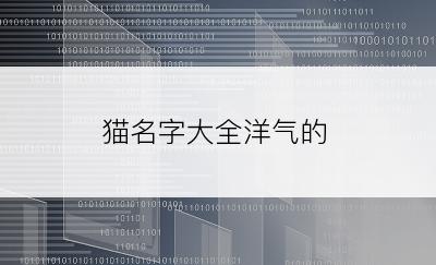 猫名字大全洋气的