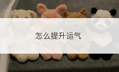 怎么提升运气