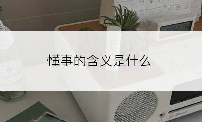 懂事的含义是什么