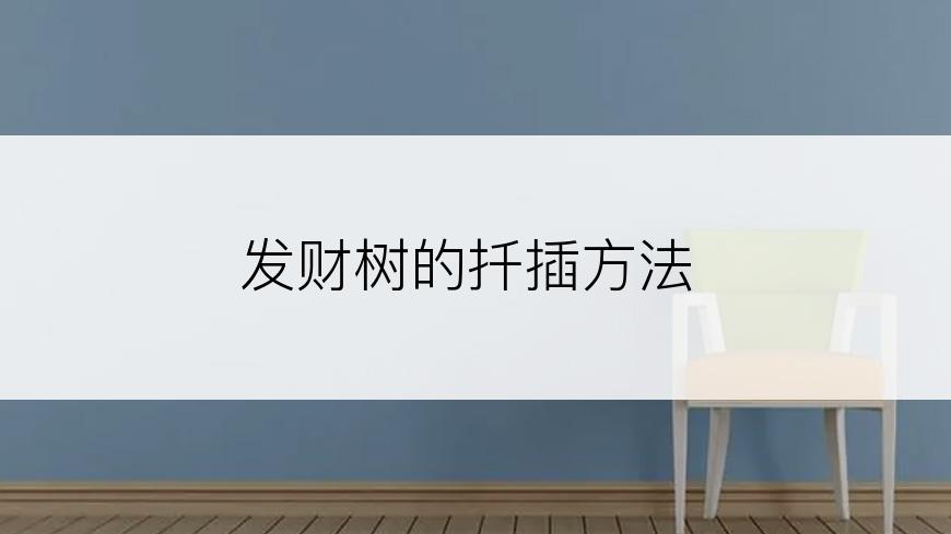 发财树的扦插方法