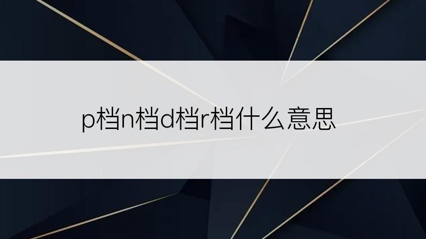 p档n档d档r档什么意思