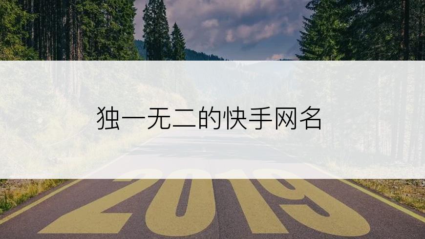 独一无二的快手网名
