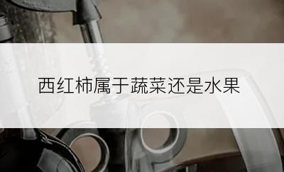西红柿属于蔬菜还是水果