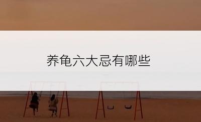 养龟六大忌有哪些