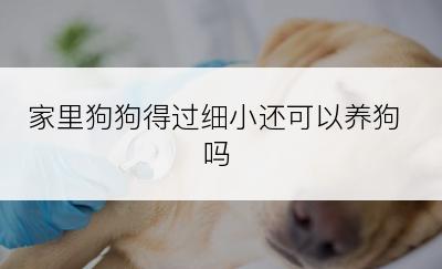 家里狗狗得过细小还可以养狗吗