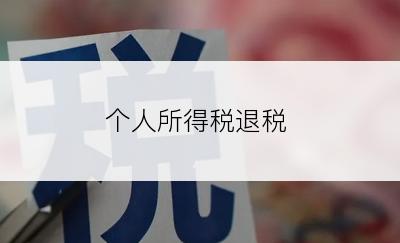 个人所得税退税