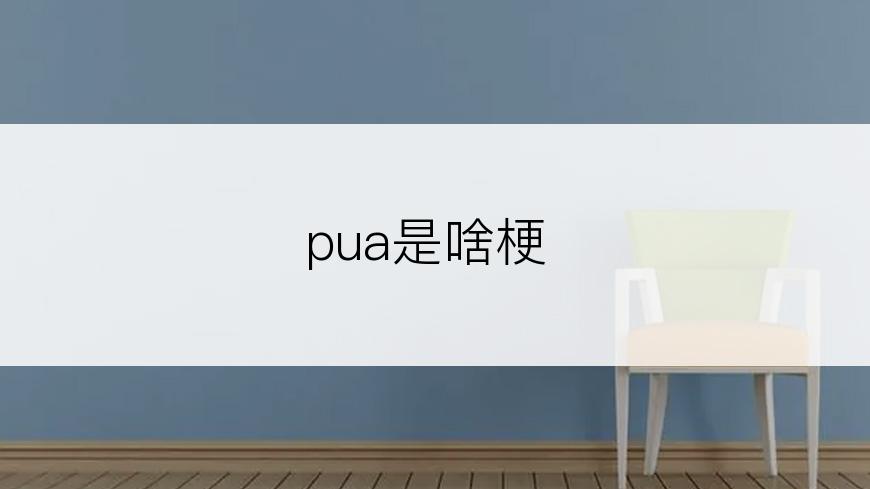 pua是啥梗