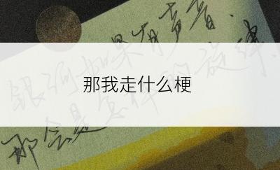 那我走什么梗