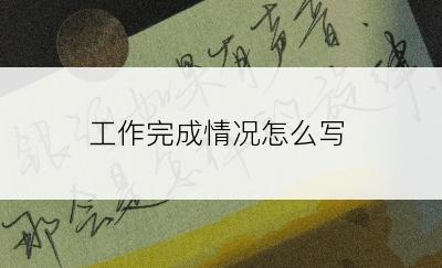 工作完成情况怎么写