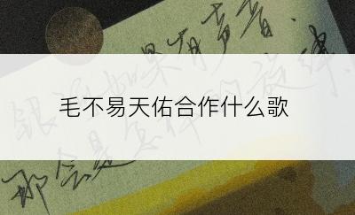 毛不易天佑合作什么歌