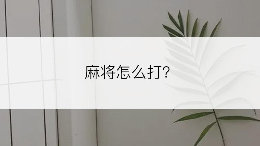 麻将怎么打？