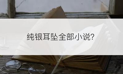 纯银耳坠全部小说？