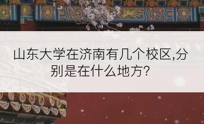 山东大学在济南有几个校区,分别是在什么地方？