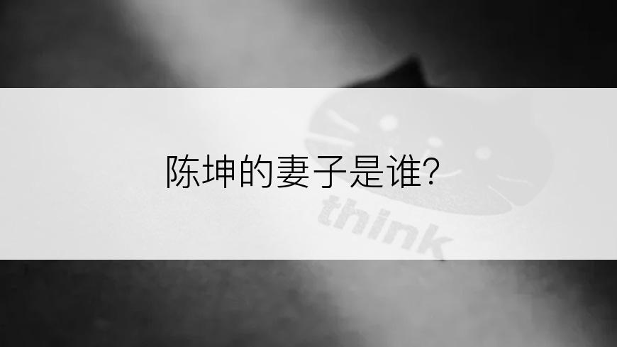 陈坤的妻子是谁？