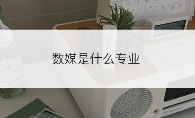 数媒是什么专业