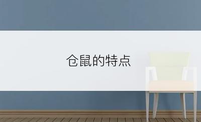 仓鼠的特点