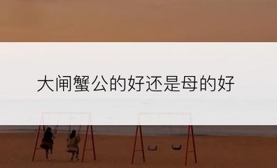大闸蟹公的好还是母的好