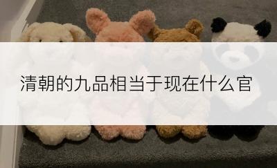清朝的九品相当于现在什么官