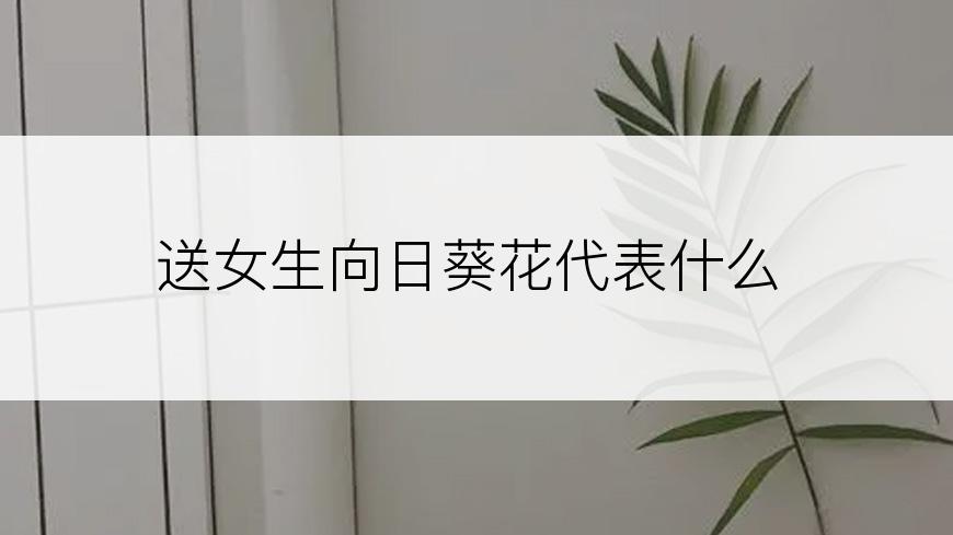 送女生向日葵花代表什么