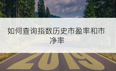 如何查询指数历史市盈率和市净率