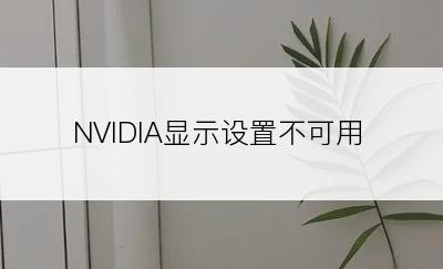 NVIDIA显示设置不可用