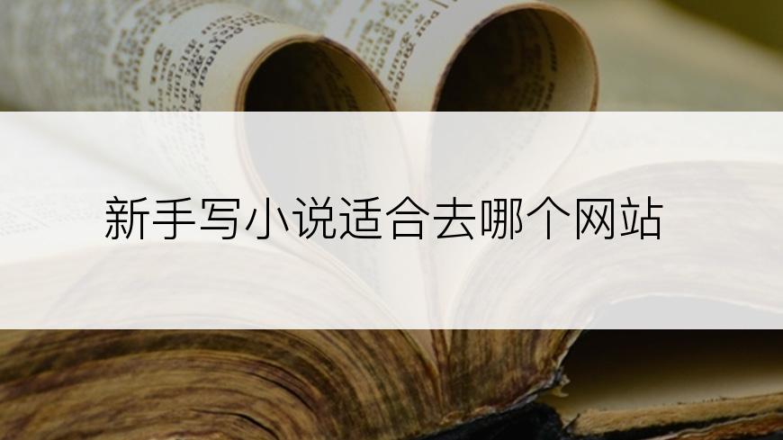 新手写小说适合去哪个网站