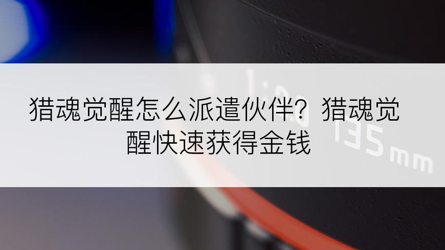 猎魂觉醒怎么派遣伙伴？猎魂觉醒快速获得金钱