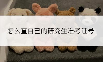 怎么查自己的研究生准考证号