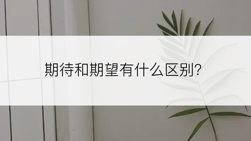 期待和期望有什么区别？