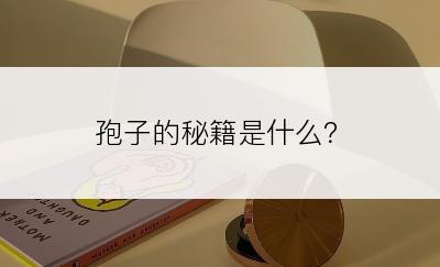 孢子的秘籍是什么？