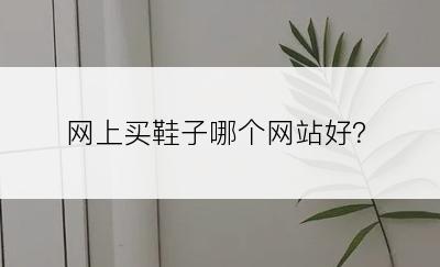 网上买鞋子哪个网站好？