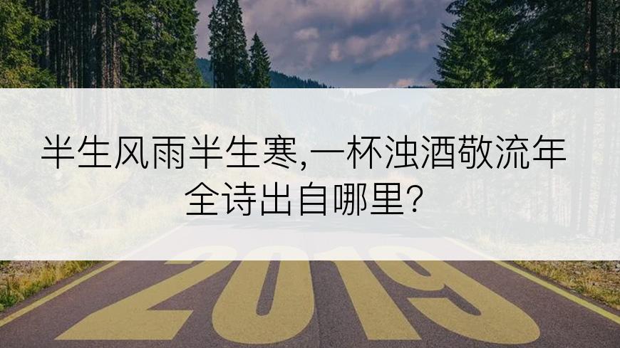 半生风雨半生寒,一杯浊酒敬流年全诗出自哪里？