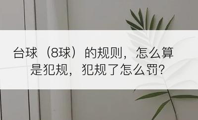 台球（8球）的规则，怎么算是犯规，犯规了怎么罚？