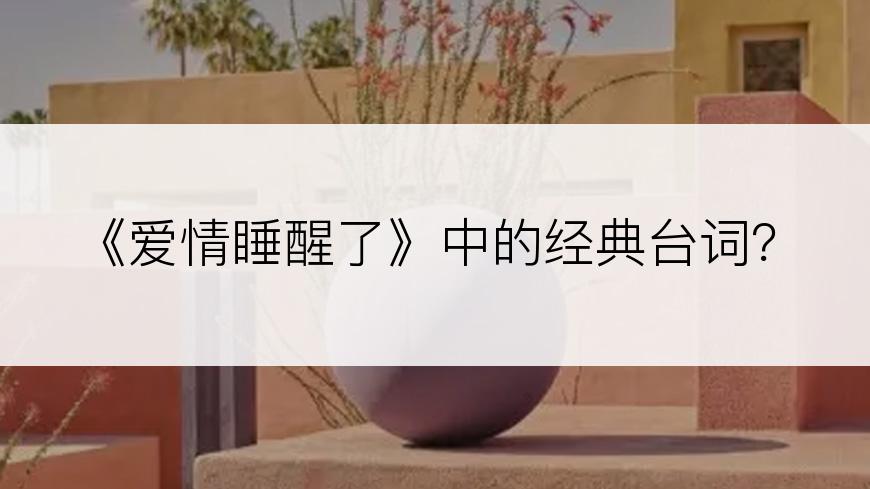 《爱情睡醒了》中的经典台词？