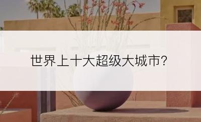 世界上十大超级大城市？